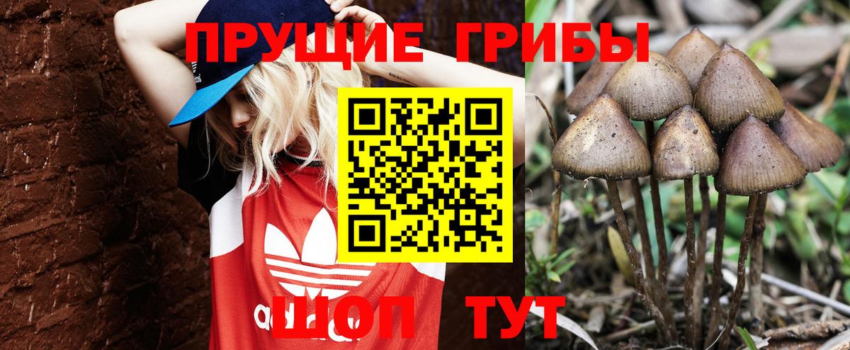 Галлюциногенные грибы прущие грибы Кинель