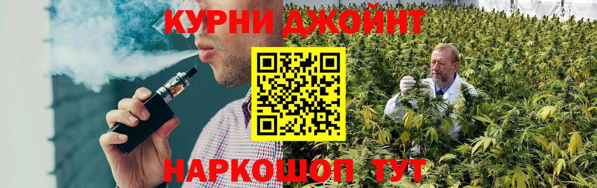 Бошки Шишки семена Кинель